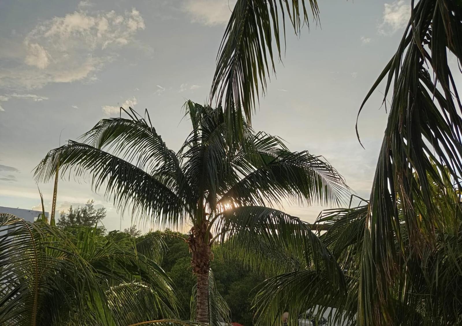 Casa Aloha-Isla Holbox Aparthotel Exterior photo