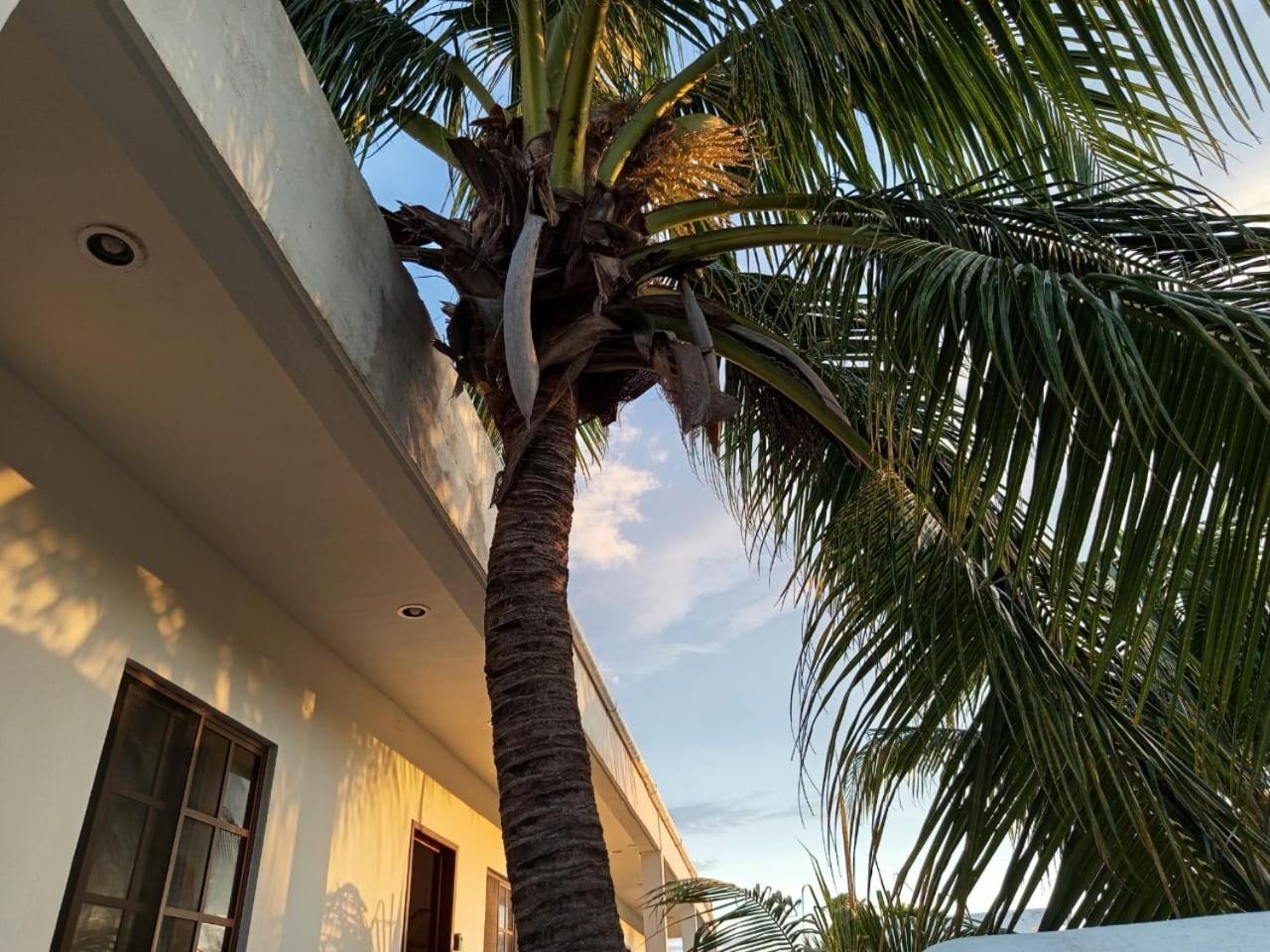 Casa Aloha-Isla Holbox Aparthotel Exterior photo