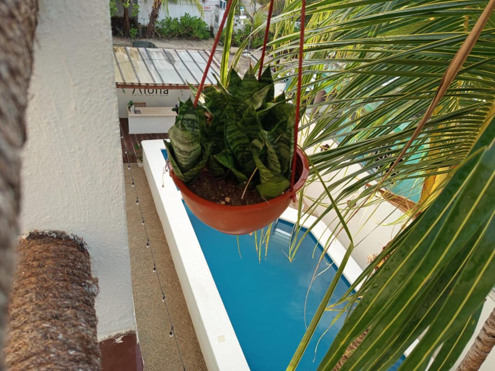 Casa Aloha-Isla Holbox Aparthotel Exterior photo