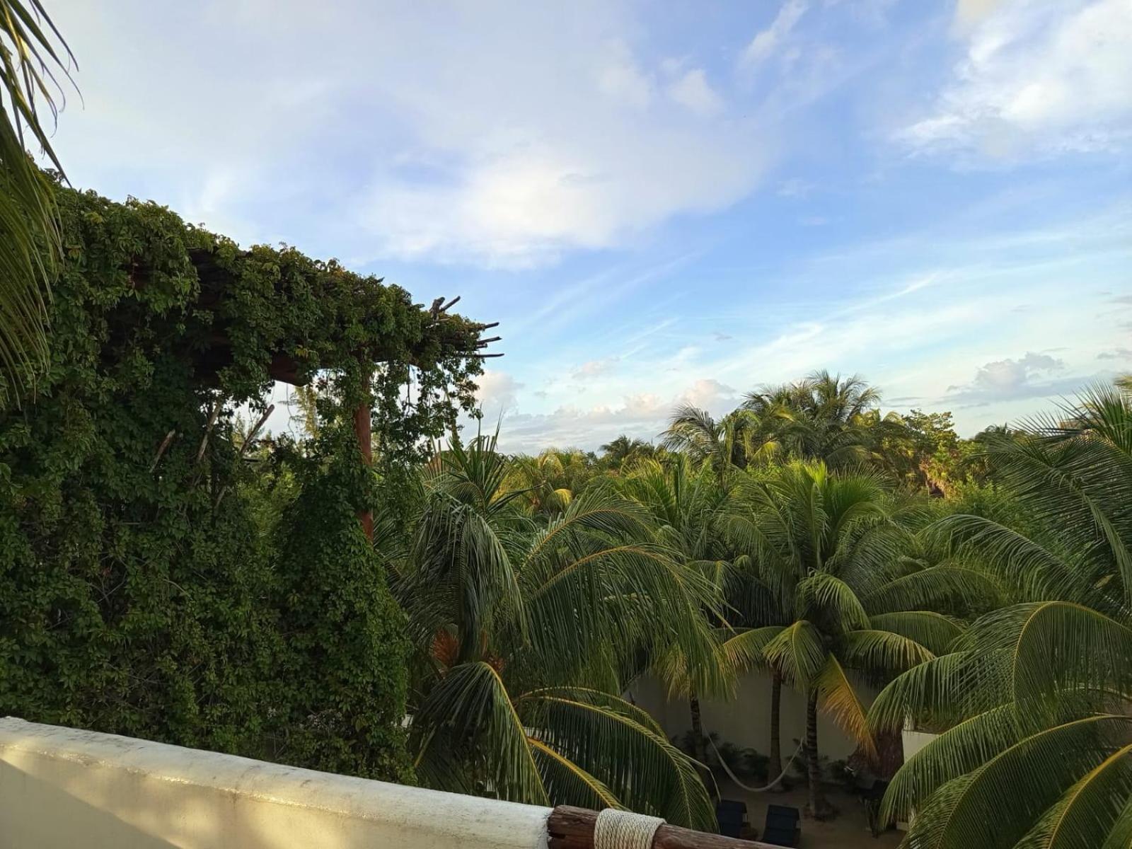 Casa Aloha-Isla Holbox Aparthotel Exterior photo